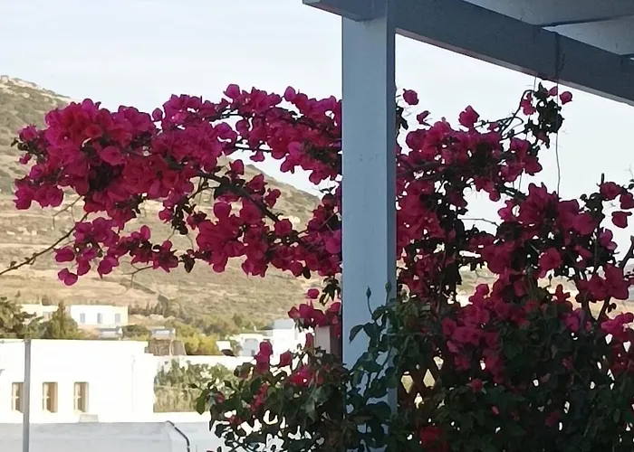 Nektarias No3 アパート ナウサ