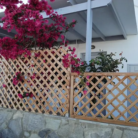 Nektarias No3 * Naousa (Paros)