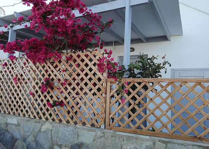 Nektarias No3 * נאוסה