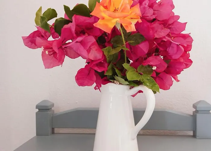 דירה Nektarias No3